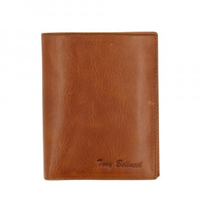 Портмоне мужское  Tony Bellucci 105-910 TABA